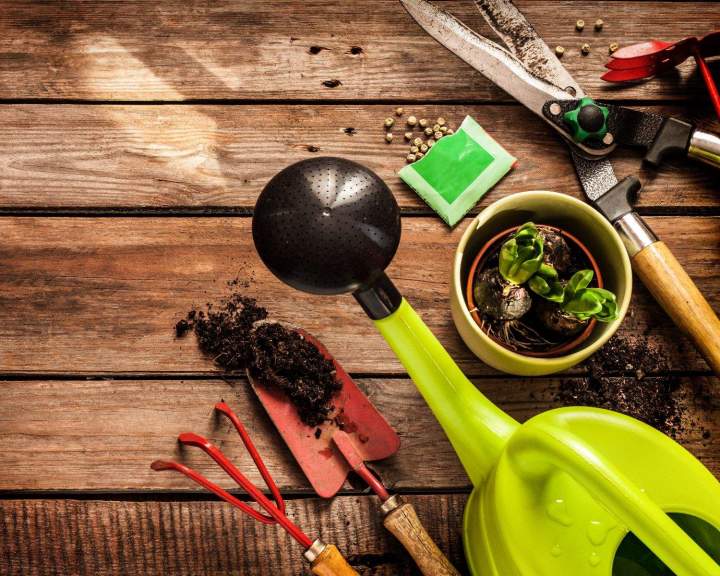 Fournisseur d’accessoires de jardinage Anglet