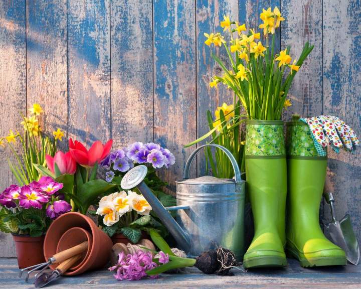 Accessoires de jardinage Anglet