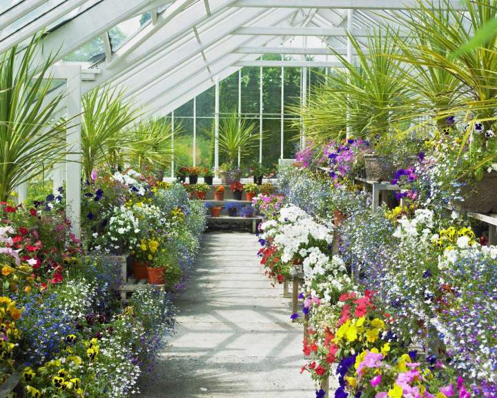 Magasin de plantes rares Anglet